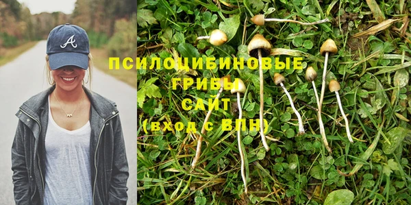 прущая мука Кукмор