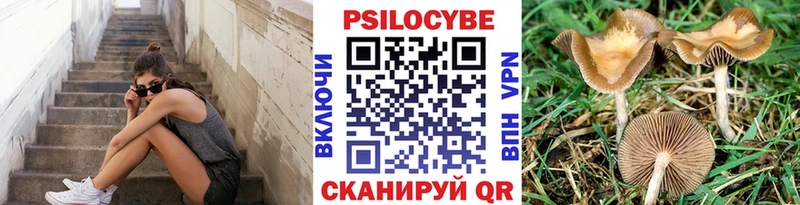 Псилоцибиновые грибы Cubensis Теберда